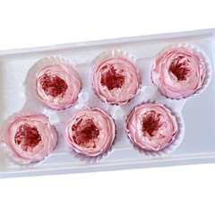 永生花進口奧斯汀巧克力2-3、3-4、4-5、5-6CM整盒裝真花手工diy