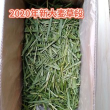 �S��ֱ����ɴ����ݶ� ��؈���m�i�������� ������ɲ��üZ