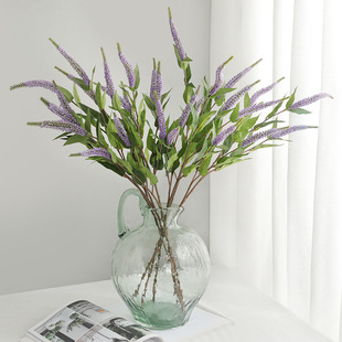 ������������������β�� �͏d�ҾӔ[������޹�²ݼٻ����빷β��