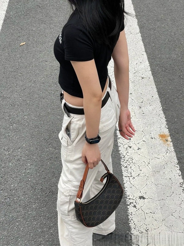 2025新款凯旋门ava同款Lisa老花新月腋下包单肩手提豌豆月牙包女|undefined