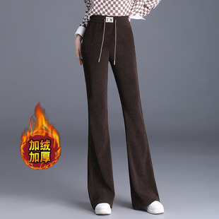 �W�޽q΢����ѝ��Ů�ﶬ2025�¿�һ�l�^����ů�l�q��ѝ�⴩���eѝ
