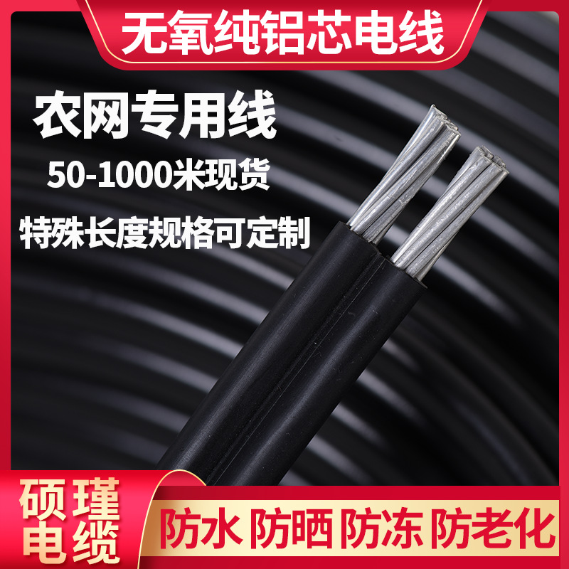户外铝线国标电线家用2/3芯6 10 16 25平方电缆架空平行集束导线