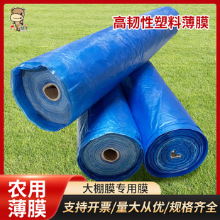 Greenhouse Film Plastic Blue Film Agricultural Insulation Film Thickeneded Shed Film Light-Transmitting Anti-Fog and Cold-Proof Film Vegetable Arch Film