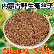 ɹҰ˽zșýzݲݾƿɴSζ