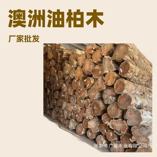 �F؛���l�t��֦ľС�~�t̴ԭľ�M�ڊW���Ͱ،�ľ���F�҃�ľ�ďS��