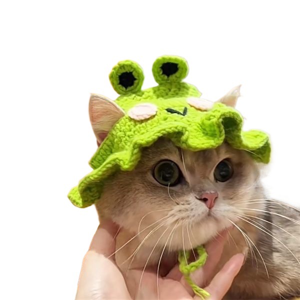 Sombreros de mascotas Teddy perro rana sombrero gato flores de lótus gorra de criada sombrero de lana de mascotas de Año Nuevo