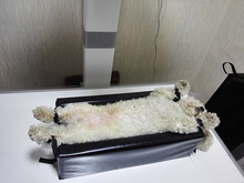 �|�����X�⌙��|V�ͳ��|�๦��dr�[λU�͔[λ�|����X��DR��