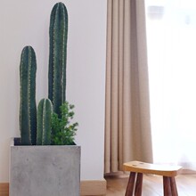 ��������������Ա��W�L�҃ȴ��Ϳ͏d���B����ֲ��o�������ƾGֲ