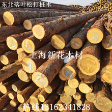 һֱ12345678ז|~ԭľľӵľ