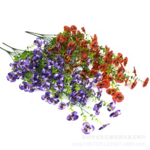 �羰�S��ֱ�N����Gֲ�ȼ�����ɫ�������m�Ҿӑ���廨�b��滨