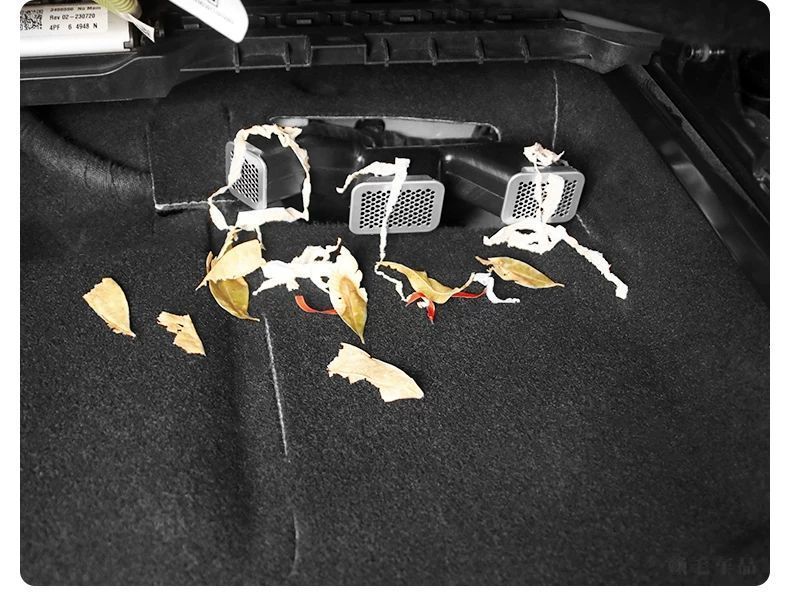 7f7aaa9c-0971-4c48-996e-3dadeb5b92e7.jpe