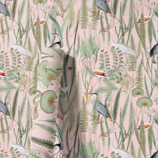 ��ɫ��ɫֲ���n����ճ�����͹��Q��ˮ���۷�� ��N�ɲ�ж�bڼ�