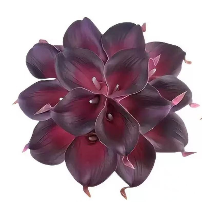 검보라 흰색 하트