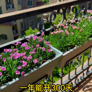 �Wʯ����_����ƺͥԺ�̨�͟��ͺ��ļ����G������������