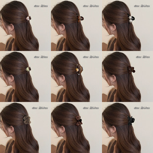 ����Сץ�AŮ�߼���2026�¿�l�A��߅�����A�����l�����^�l���l�