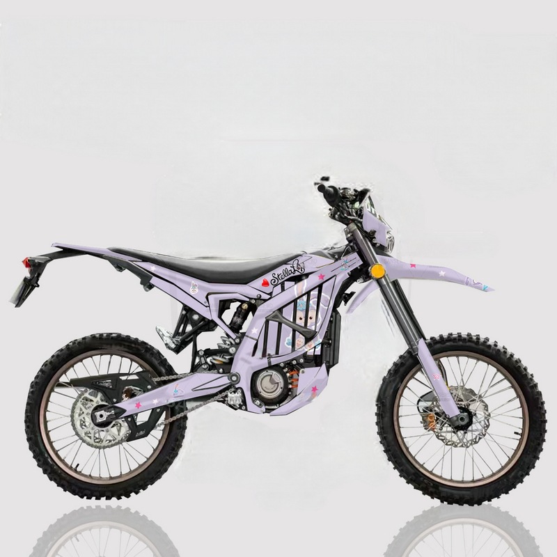 Pegatinas de motocross para SUR-RON de dragón cornudo Pegatinas decorativas de abejas polares Pegatinas de coche Pegatinas RK