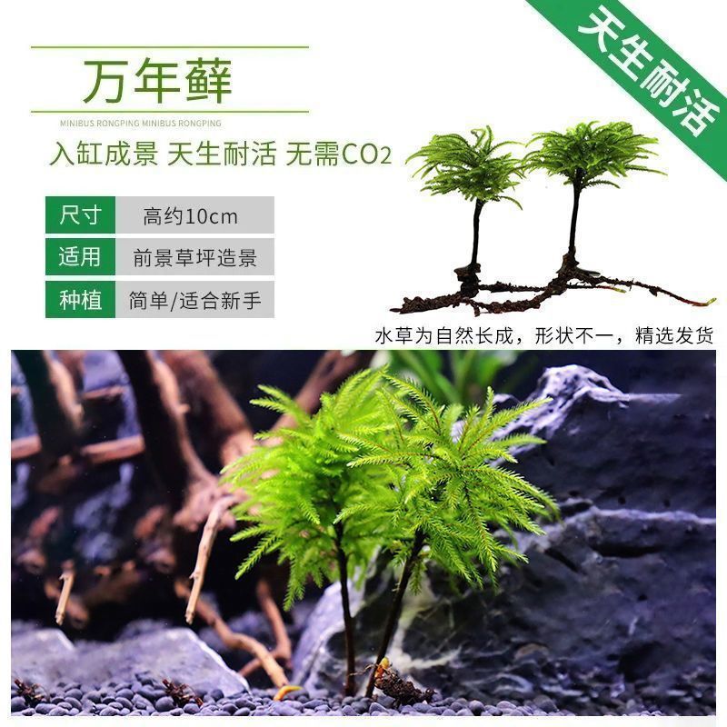 38fd1b3b-c8b8-4beb-a243-c45fe040da93.jpe