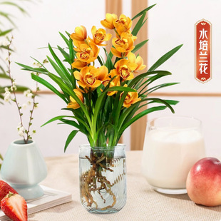 ˮ�໨���m����������ī�m���m���m�ļ��҃ȾGֲ�����辰