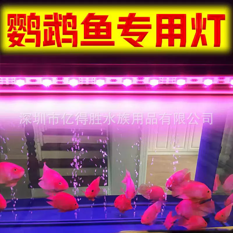 红鱼灯防水led鱼缸灯照明红龙罗汉増红增色鹦鹉鱼灯管魔红水族箱