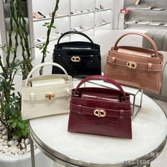 ホットモデルのネットの赤い金属の装飾のCK2-5027008の小さいケリーの手はカバンを持っています。