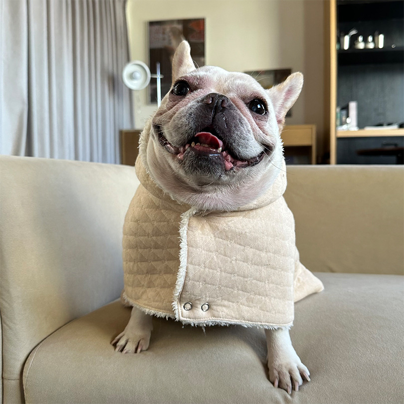 면 더블 레이어 따뜻한 작은 엘크 판초 코트 애완 동물 고양이 개 FA DOU SCHANERY KOJI TEDDY 홈 옷 크리스마스