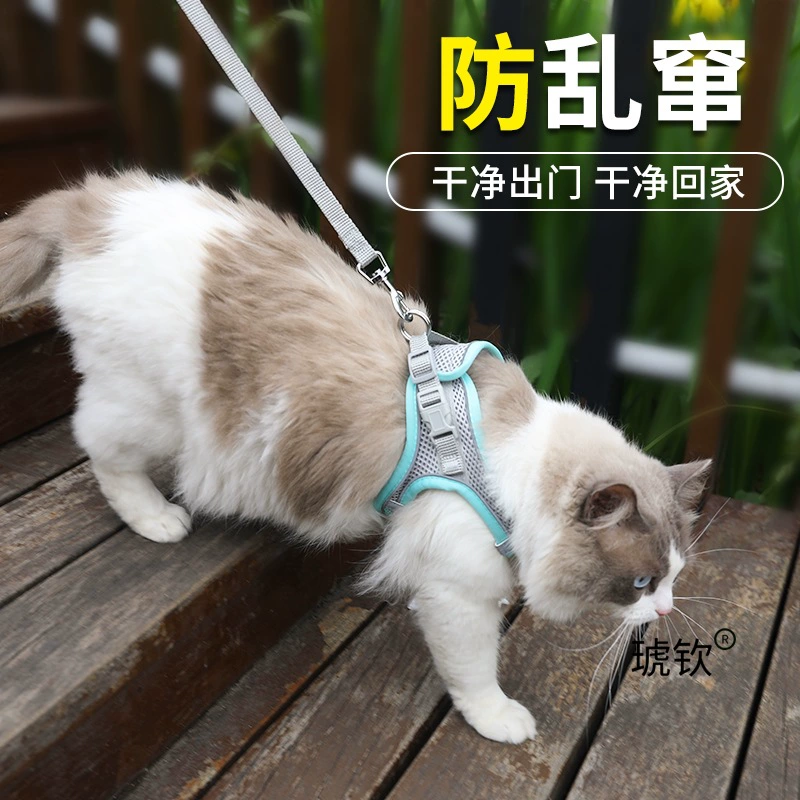 Поводок для кошек, специальный поводок для прогулок на открытом воздухе, инструмент для прогулок с котенком, маленький кошачий жилет против побега, стиль