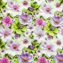 人棉印花 数码印花 印花裙面料 人棉布 连衣裙面料