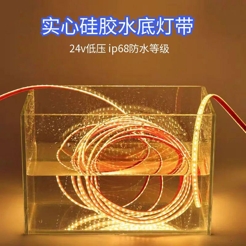 Light Strip Led Silicone 24V Low Voltage Outdoor Waterproof Ultra-Bright Swimming Pool Soaked Fish Tank Landscape Atmosphere Lighting Strip