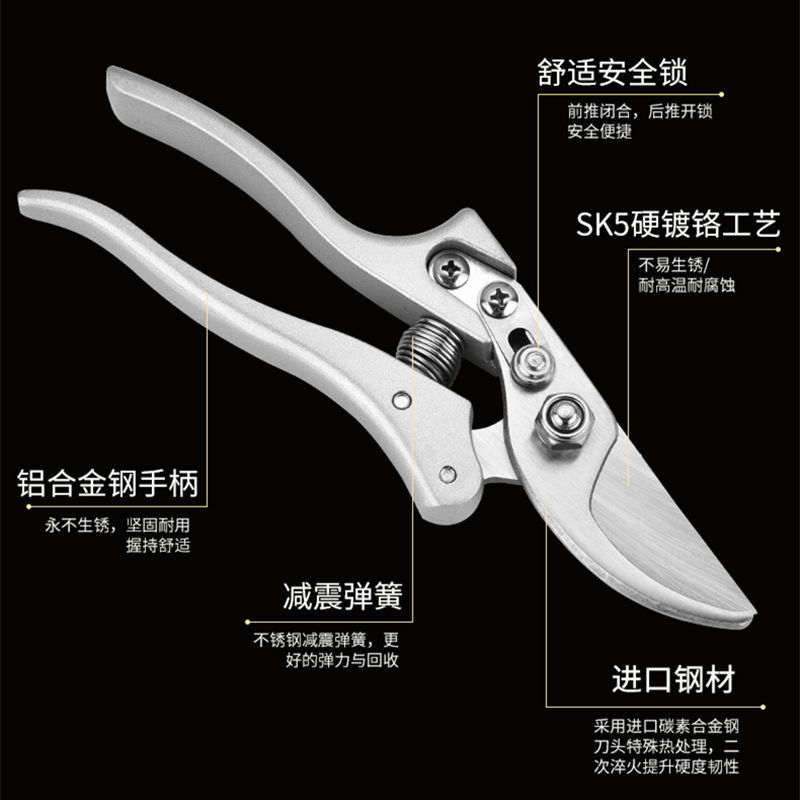 ΢��ͼƬ_202111081917131