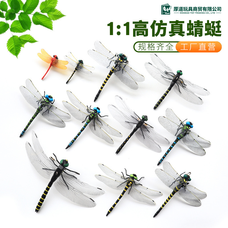 [Source Manufacturer] Simulation Dragonfly Exported to Japan Mosquito Repellent Artifact Plastic Model Toy Dragonfly Crafts