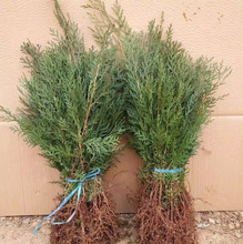 һlɰ؂Ȱؘ؈Aؘ䌚@־G