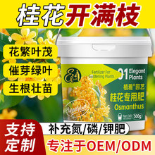 桂花树专用肥家用桂花肥料通用肥四季桂月桂金桂氮磷钾肥养花花肥