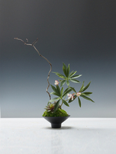 ʽ̦\ҾƵ辰͏dUٻGֲˇ