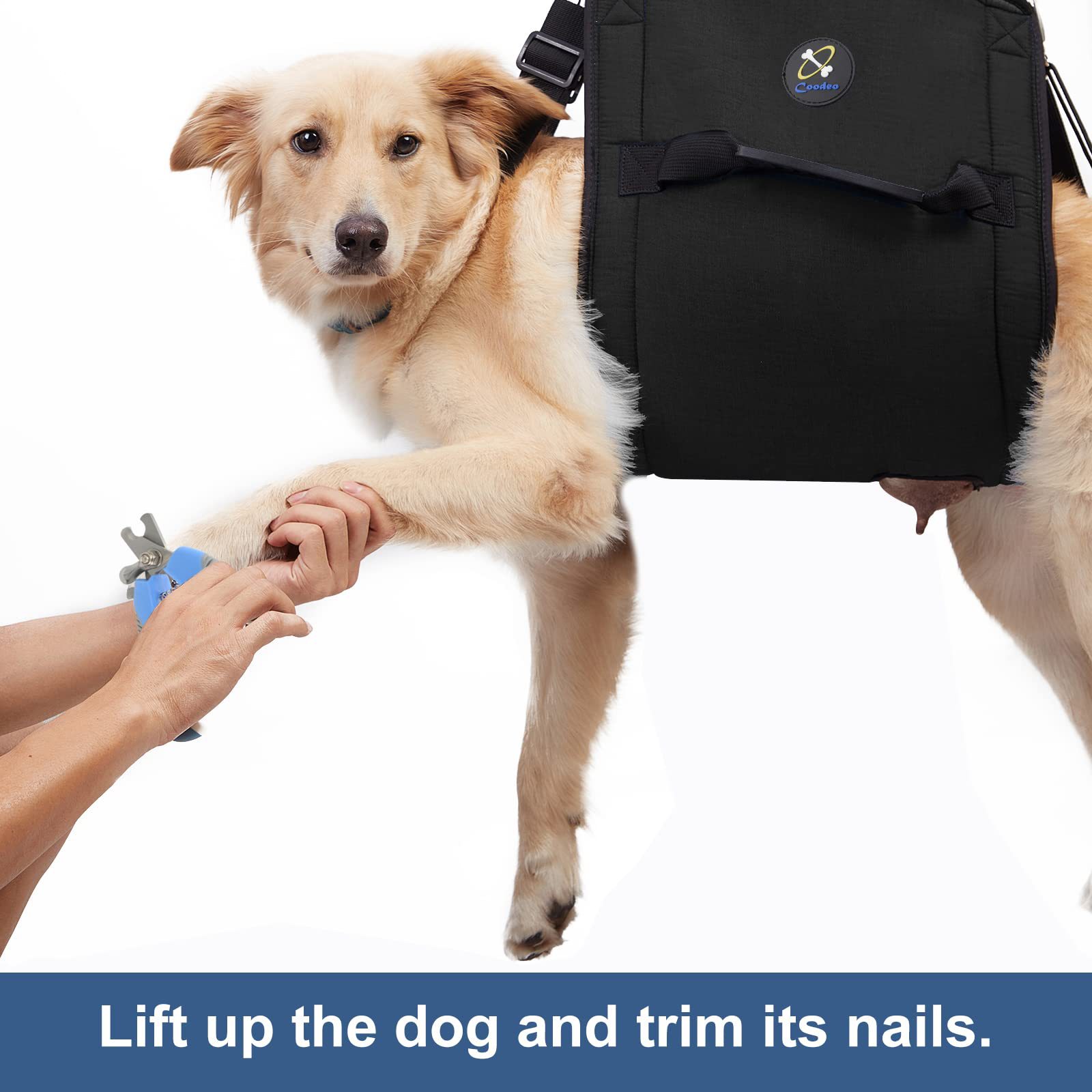 大 黑色_ _ 白色-07