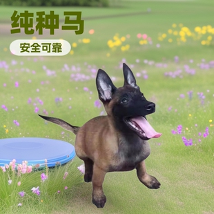 �����r�RȮ��Ȯ���w���N���t�RȮ���R�t�R����Ȯ��Ȯ�o�lȮ���l