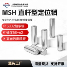 MSH负公差实心圆柱销MSSH直杆型定位销h7负公差销钉销子2/3/4/5/6