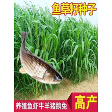 KݷNB~òݷNߵļiţN~ݷN