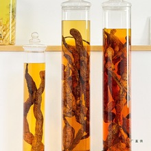 高档泡酒专用酒瓶高硼硅玻璃密封罐大号加厚长药材人参牛大力酒坛