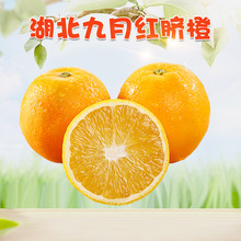 �����x���������¼tĚ�� 5�����Y�����r���������֭�ЋDˮ��