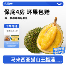 �в�ʿ�R�������M��D197؈ɽ����ɏҺ��������]�������rˮ������