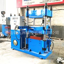 160T氟胶油封成型机 硫化油封机器设备 平板电热四柱热压机器设备