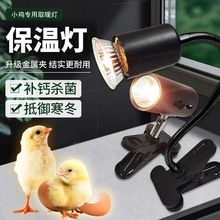 芦丁鸡爬宠保温灯鹌鹑保温箱取暖灯育雏小鸡取暖加热加温灯泡批发