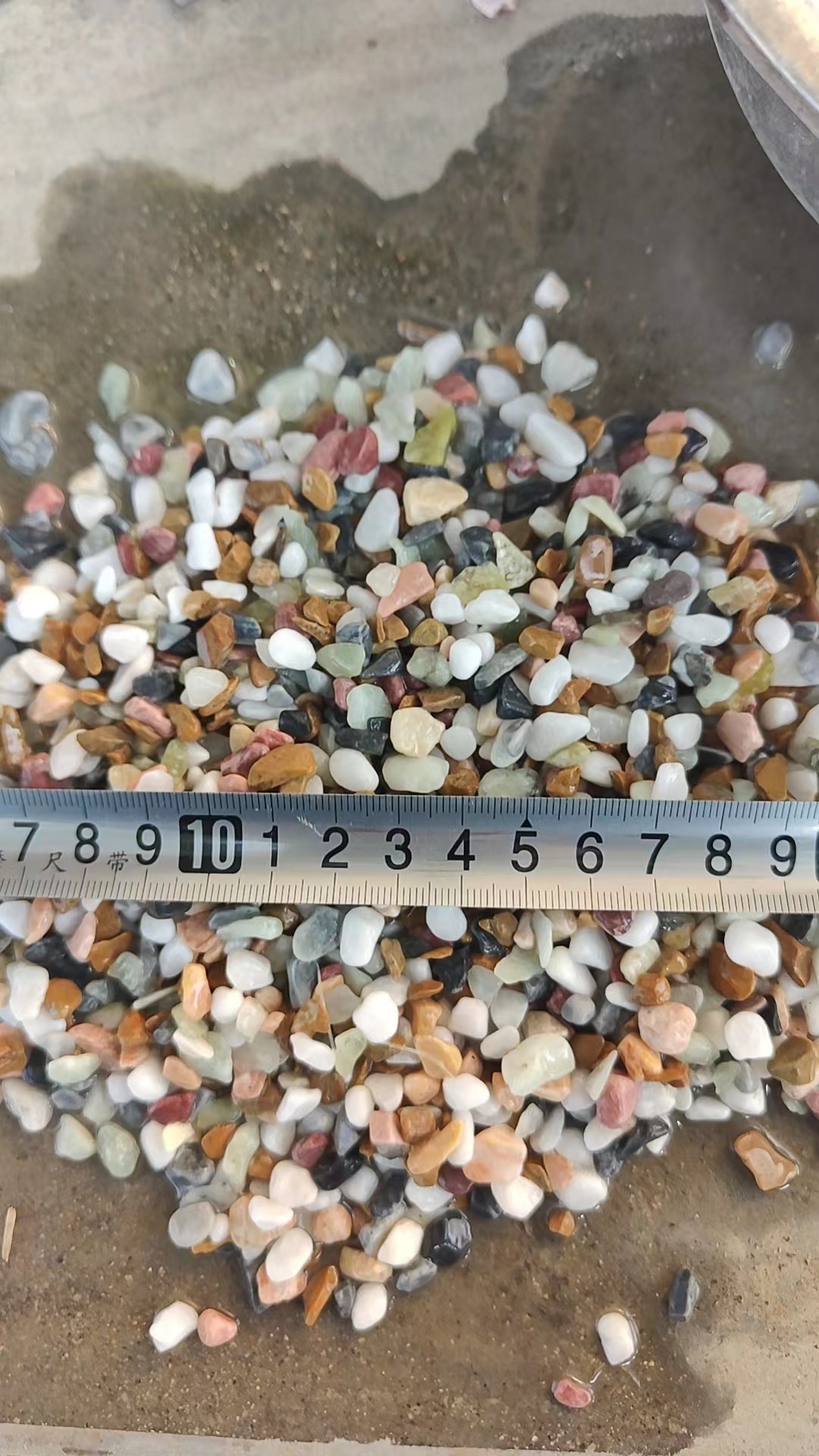 微信图片_20231026191235