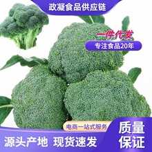 苏北农家现摘西兰花新鲜西蓝花绿青花菜花椰菜脆嫩菜花时令蔬菜