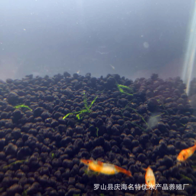 TB29jffq9cqBKNjSZFgXXX_kXXa_!!