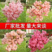 ����ѻ�֦��֦��c�ѻ����辰�b��ٗl�������T�͏d����������