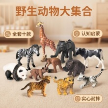 �羳����Ұ������ģ�� ������ˤ�����ϻ���؈�L�i¹��ͯ�������