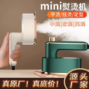 Cross -Bordder Handheld Flouging Vinging Horing Hot Machine Portable Steam Iron Tourism Mini -Artifact легко