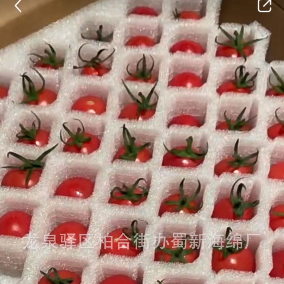 厂家供应水果桃子李子内衬缓冲包装泡沫/水果礼盒内拖泡沫