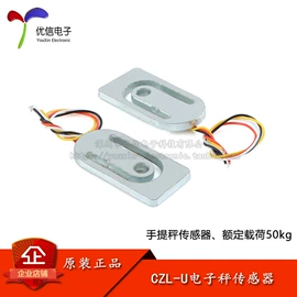 集成电路;电阻器;电子模块